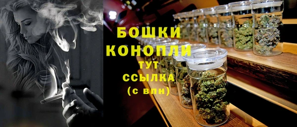 молекула духа Волосово