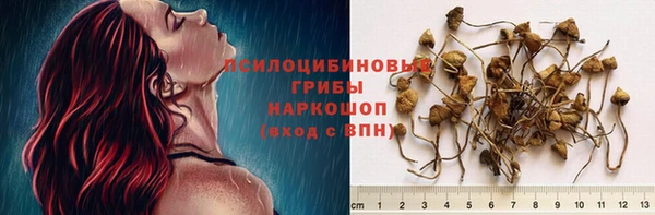 твердый Володарск